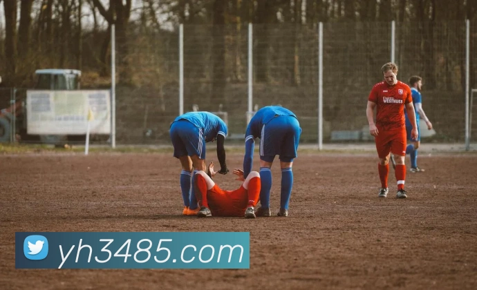 银河娱乐官网入口平台生态图